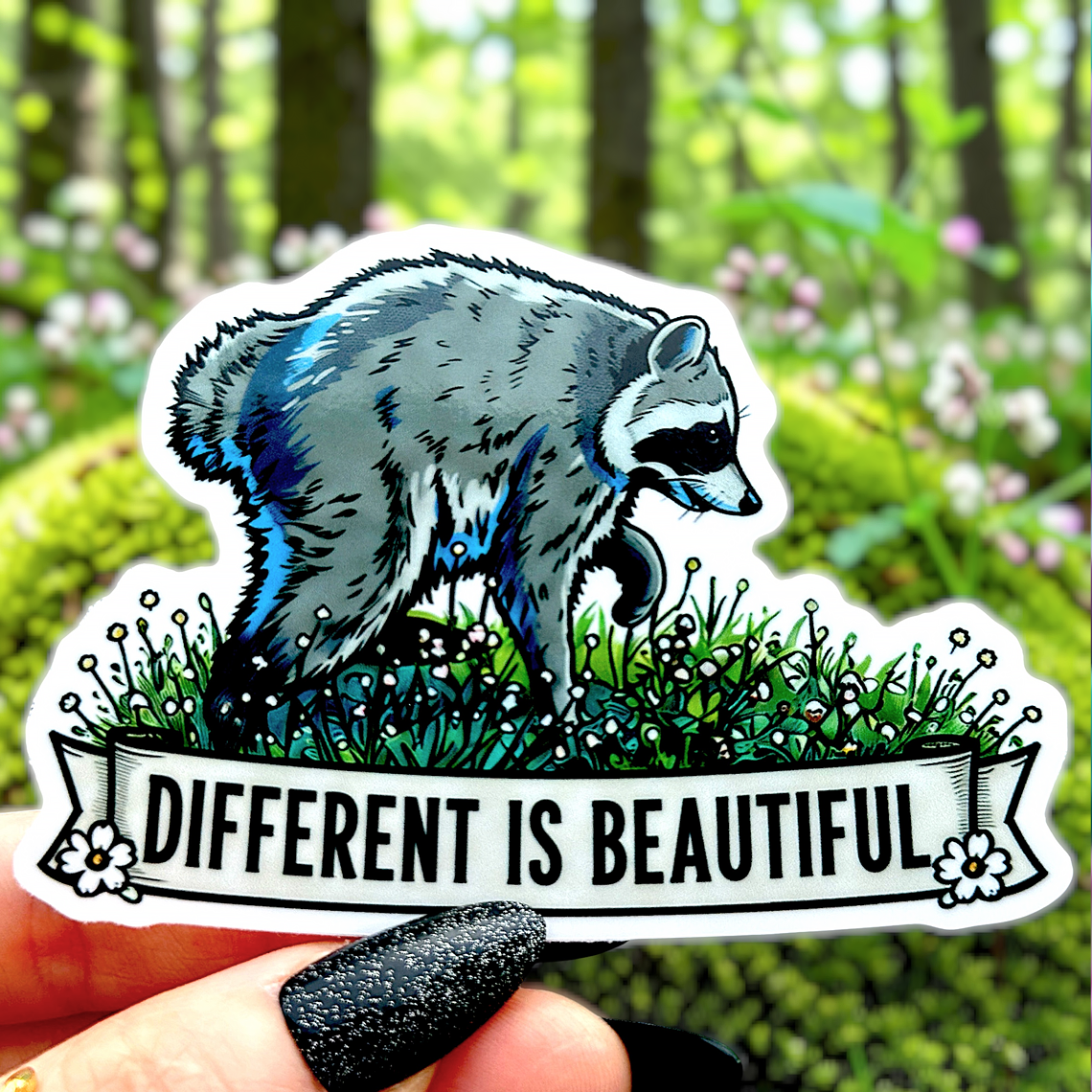 Jimothy Raccoon Seattle